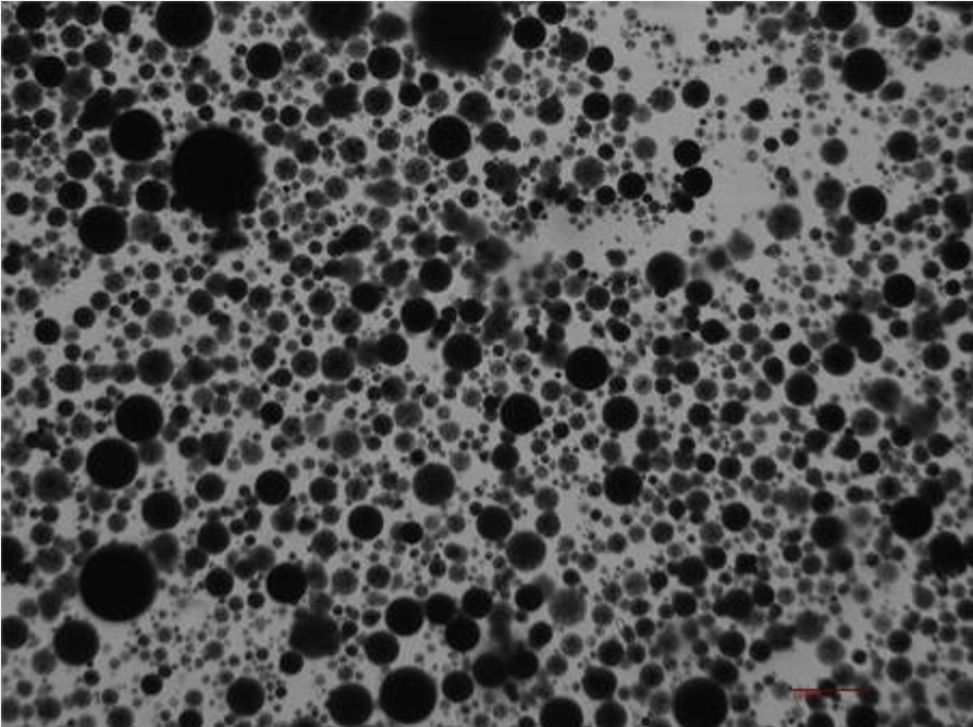 琼脂糖磁性微球