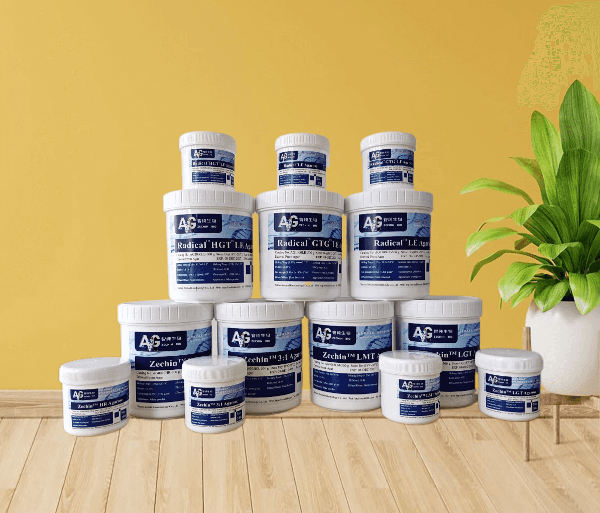Zechin 低凝胶温度琼脂糖